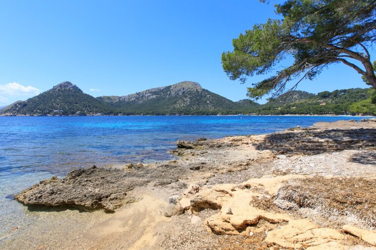 A beach with mountains in the background and a tree in the foreground