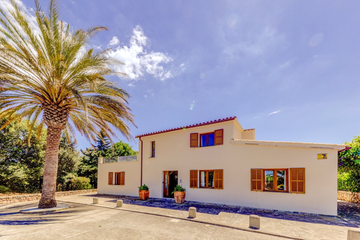 A white house with a palm tree in front of it