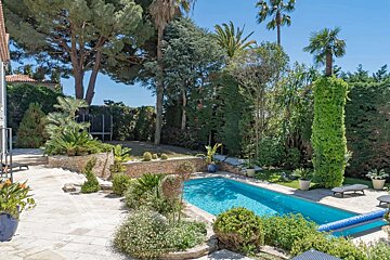 Sunny backyard with a bright blue pool, stone patio, diverse plants, tall trees, and palm trees under a clear sky.