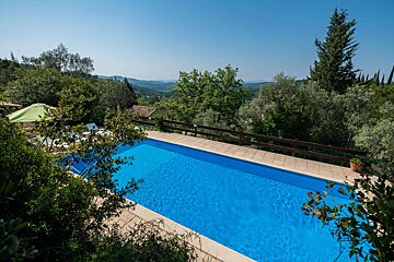 A large swimming pool surrounded by trees and bushes