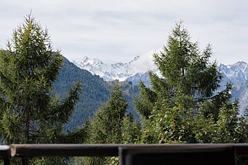 A view of a mountain range with trees in the foreground