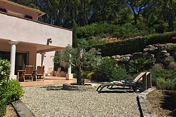 A patio with chairs and a tree in front of a house