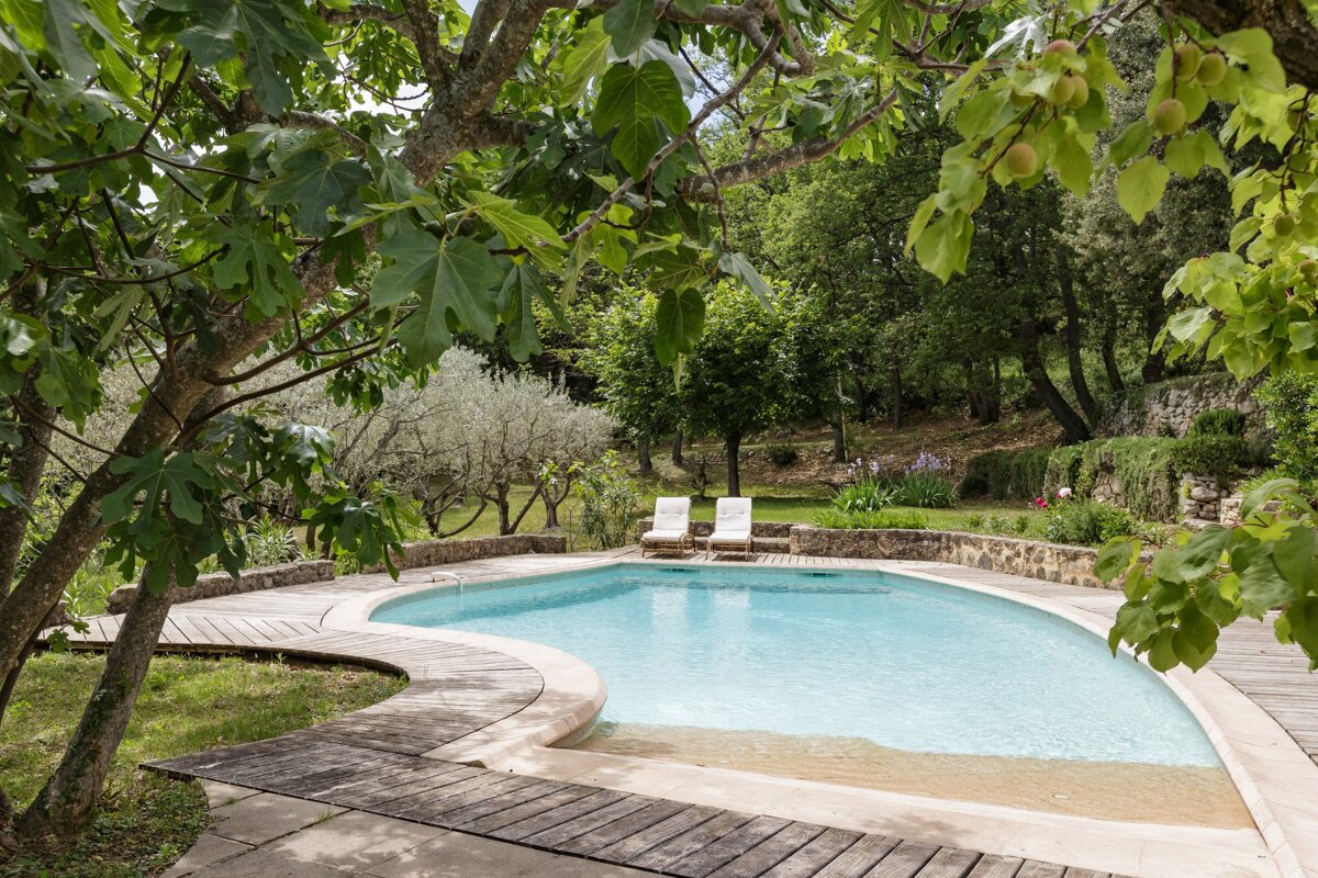 A swimming pool surrounded by trees and a wooden walkway