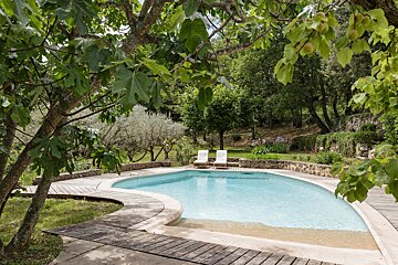 A swimming pool surrounded by trees and a wooden walkway