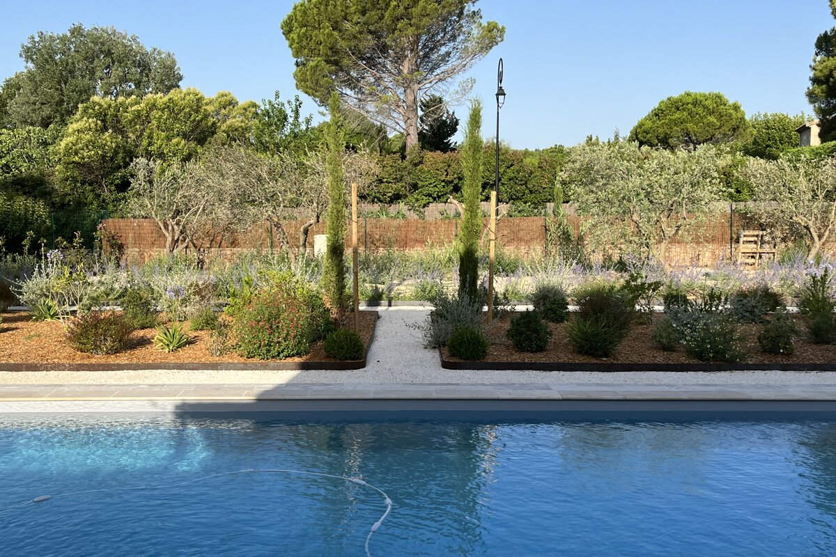 A swimming pool surrounded by trees and bushes on a sunny day