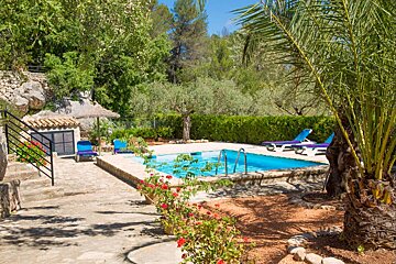 A swimming pool surrounded by palm trees and chairs