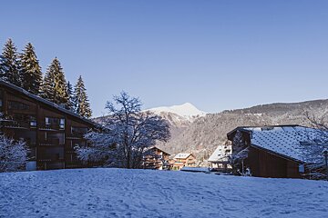 A snowy landscape with a mountain in the background
