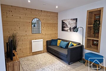 Cozy living space featuring a gray sofa, wood-paneled accent wall, patterned rug, floor lamp, and a TV on a wooden stand.