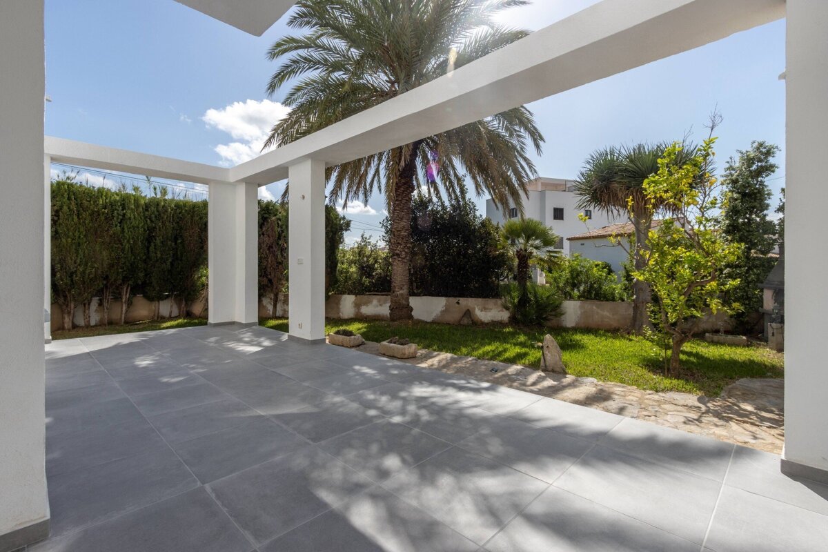 A patio with a palm tree in the background