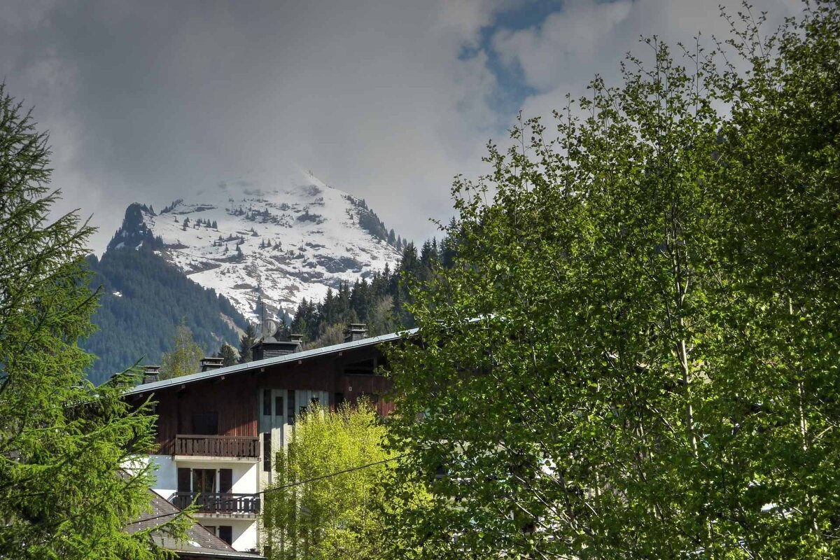 Green trees frame a wooden chalet, with a snow-capped mountain peak rising into a cloudy sky.