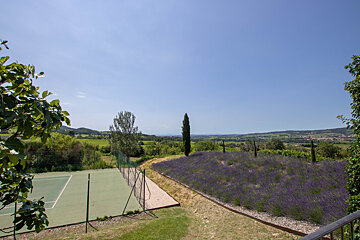 A tennis court with a view of a lavender field