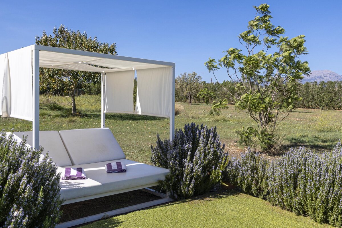 A white canopy over a couch with purple napkins on it