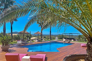 A large swimming pool surrounded by palm trees and chairs