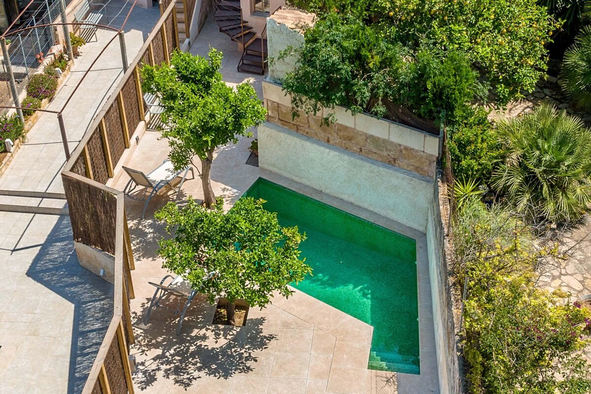 An aerial view of a swimming pool surrounded by trees