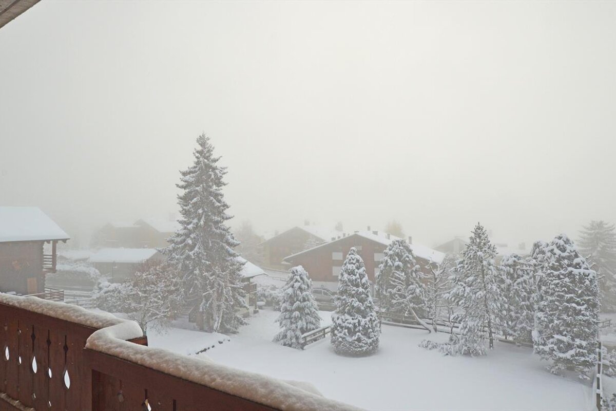 A snowy landscape with trees and houses in the background