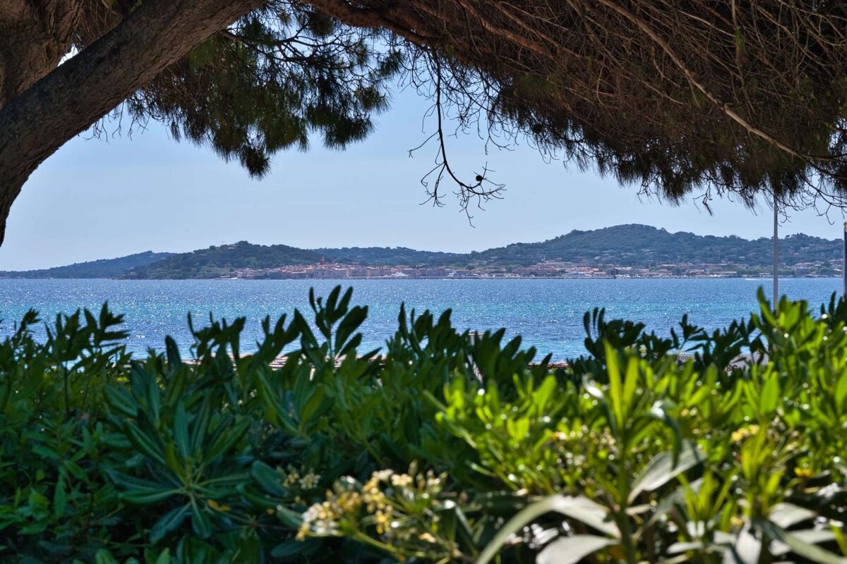 A view of a body of water with a city in the distance
