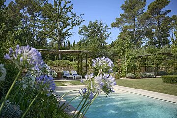 Lush garden with a sparkling blue pool, vibrant agapanthus flowers, and a pergola with lounge chairs, all bathed in sun.