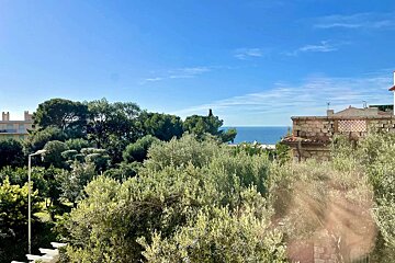 A bright, sunny view over dense green foliage and trees, leading to a calm blue sea under a clear blue sky, with buildings visible.