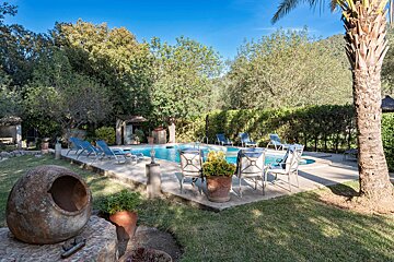 A large swimming pool surrounded by chairs and a palm tree