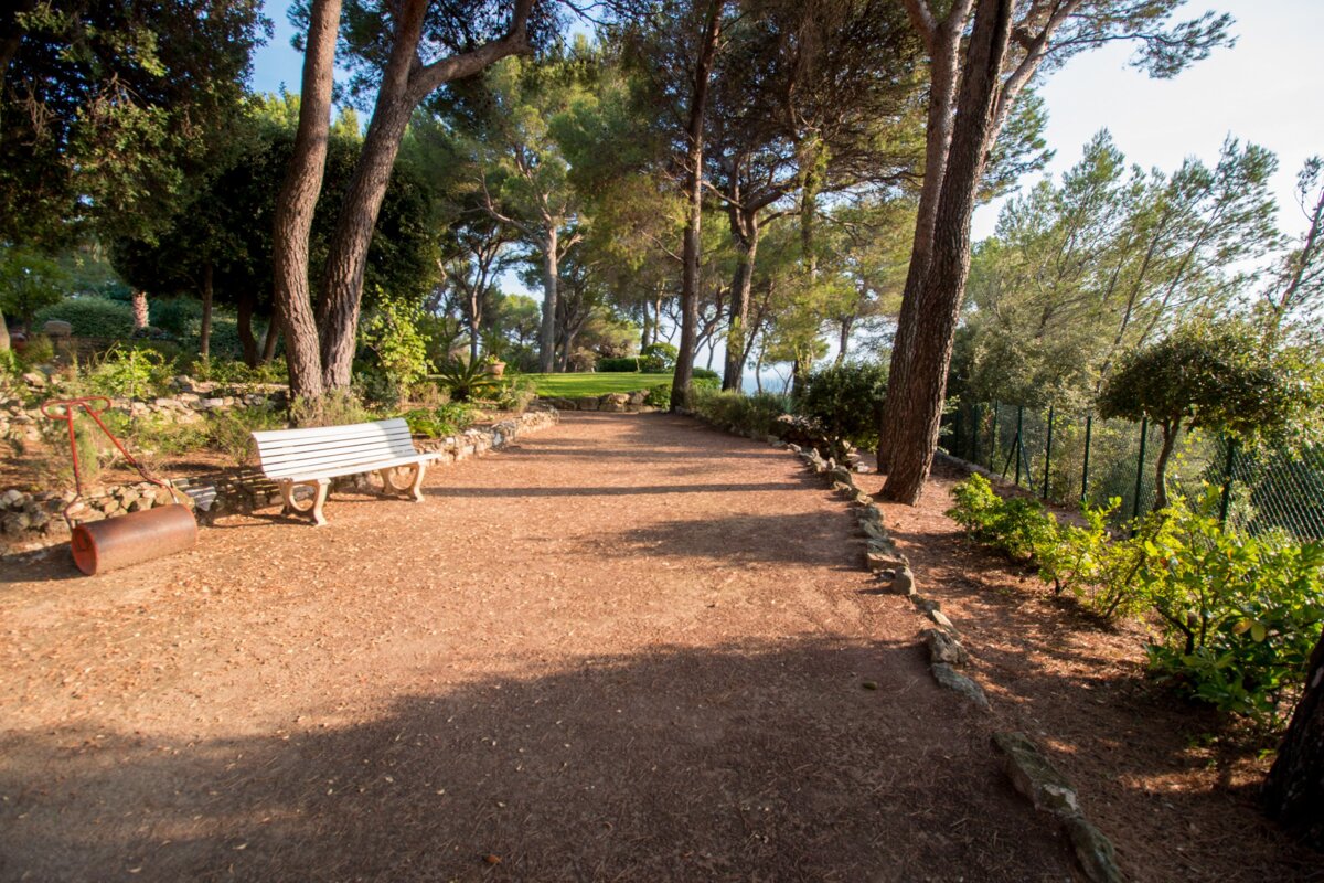 A white bench sits on a dirt path surrounded by trees