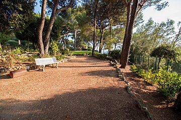 A white bench sits on a dirt path surrounded by trees