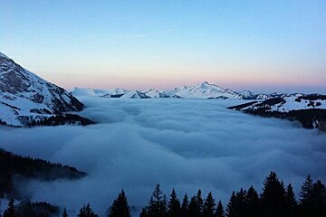 Mountains covered in snow and clouds with trees in the foreground