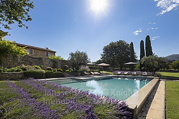 A large swimming pool is surrounded by purple flowers and chairs