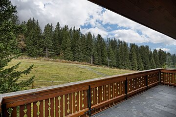 A balcony with a wooden railing overlooking a forest