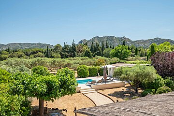 A view of a swimming pool surrounded by trees and mountains