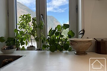 Potted plants sit on a kitchen sill before a window, through which rolling green hills and a bright blue sky can be seen.