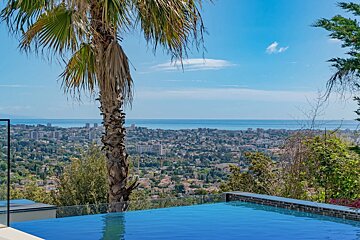 An infinity pool overlooks a coastal city and the ocean under a blue sky, framed by a palm tree in the foreground.