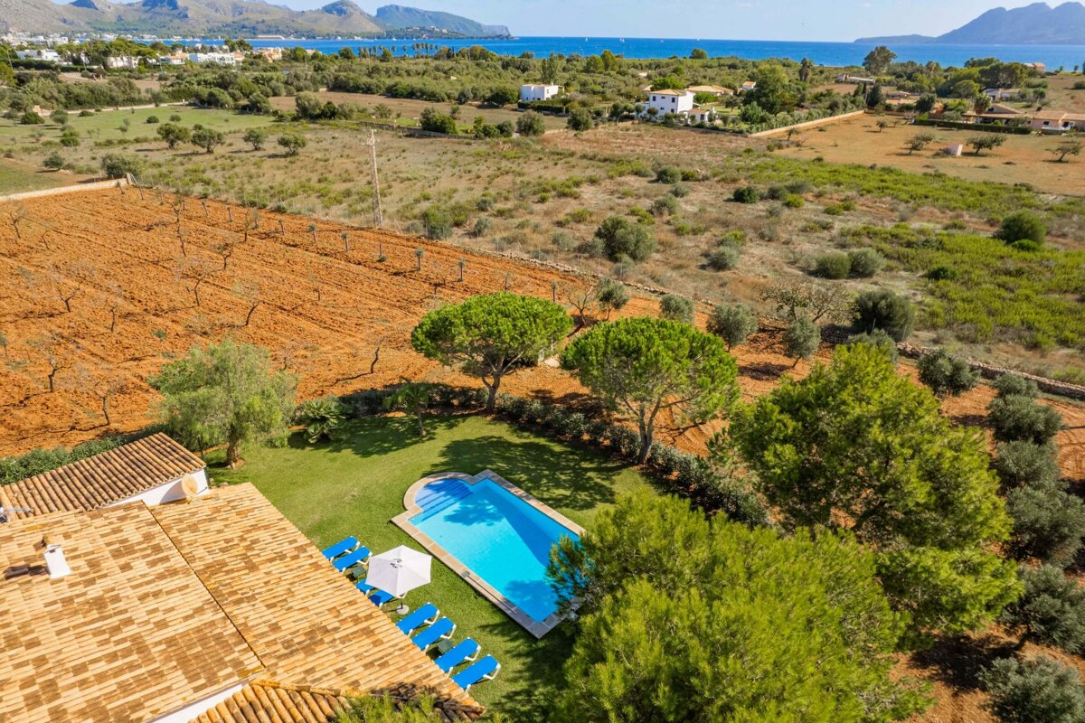 An aerial view of a large swimming pool surrounded by trees