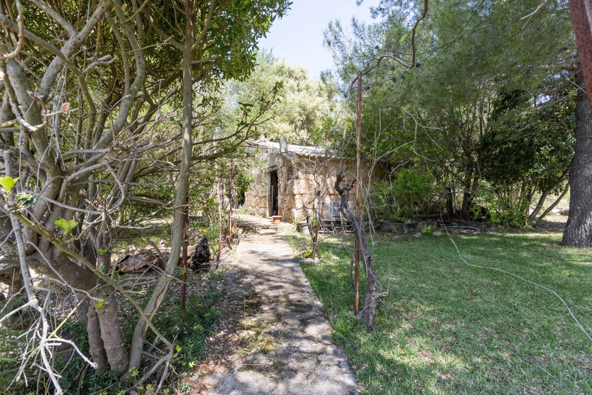A stone cottage nestled in a dense, green forest, with a concrete path leading to its doorway.