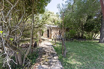 A stone cottage nestled in a dense, green forest, with a concrete path leading to its doorway.