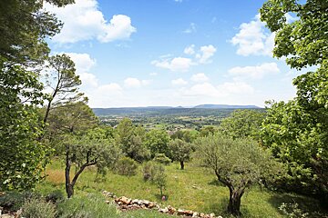 A lush green field with trees and mountains in the background
