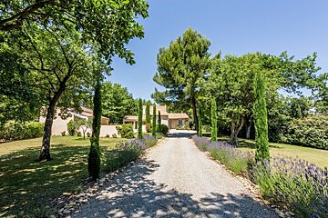 A gravel driveway leads to a house surrounded by trees and lavender