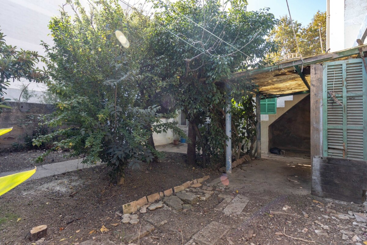 A shed with green shutters and a tree in the background