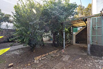 A shed with green shutters and a tree in the background
