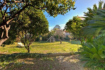 A lush green garden with a shed in the middle