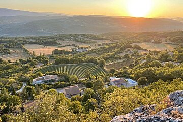 A sunset over a valley with vineyards and houses