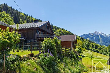 Wooden chalets nestled on a sunny, green hillside with flowering plants, overlooking a distant snowy mountain peak under a clear sky.
