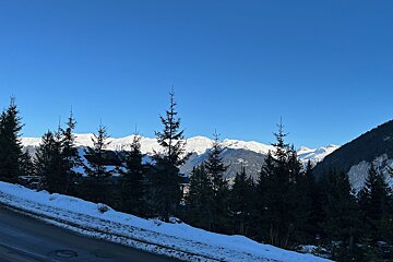 A crisp blue sky overlooks majestic snow-capped mountains, framed by dark pine trees and a snowy road in this serene winter scene.