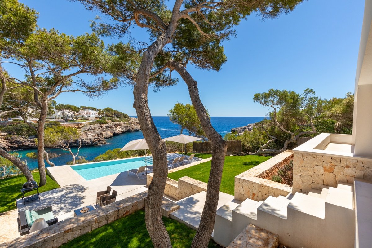 A large swimming pool is surrounded by trees and stairs