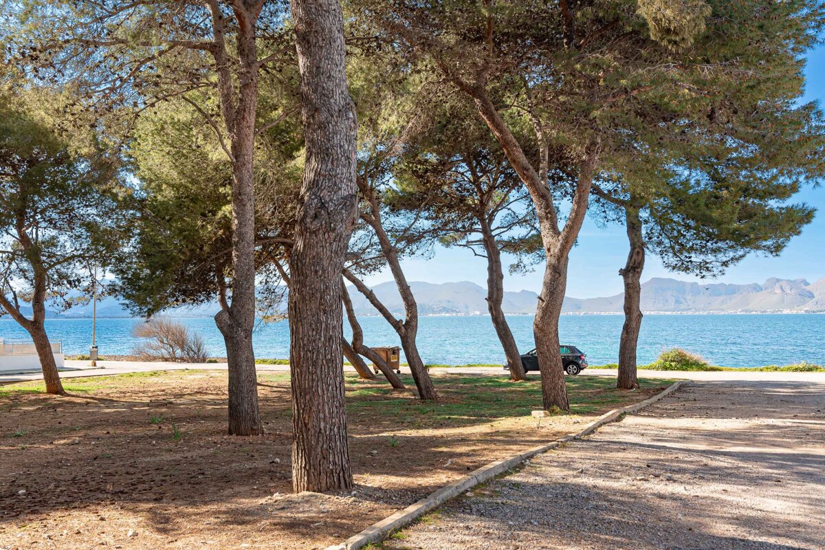 A car is parked on the side of a road near a body of water