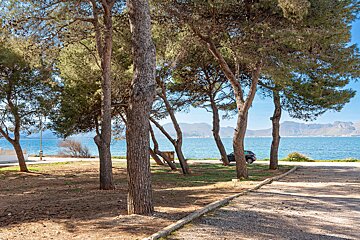 A car is parked on the side of a road near a body of water