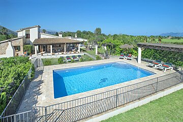 A large swimming pool with a seahorse on it