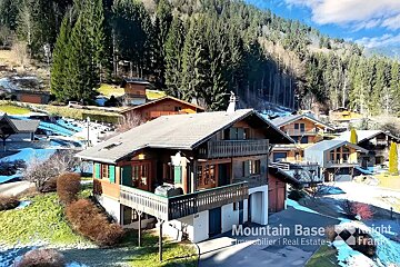 A mountain base real estate advertisement with a house in the foreground