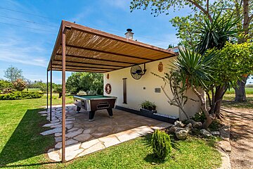 A pool table is under a canopy in the backyard