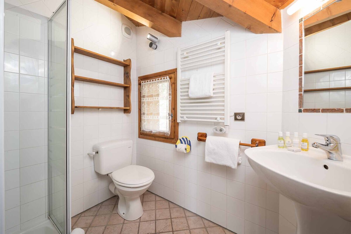 A bathroom with a toilet a sink and a window