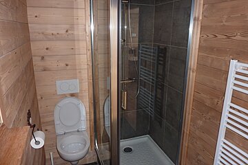 A rustic-modern bathroom features light wooden paneled walls, a white toilet, and a glass-enclosed shower with dark tiled walls.